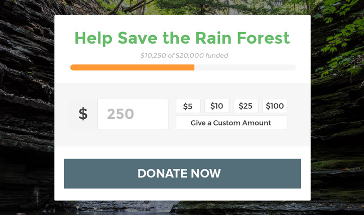 wordpress give donations plugin