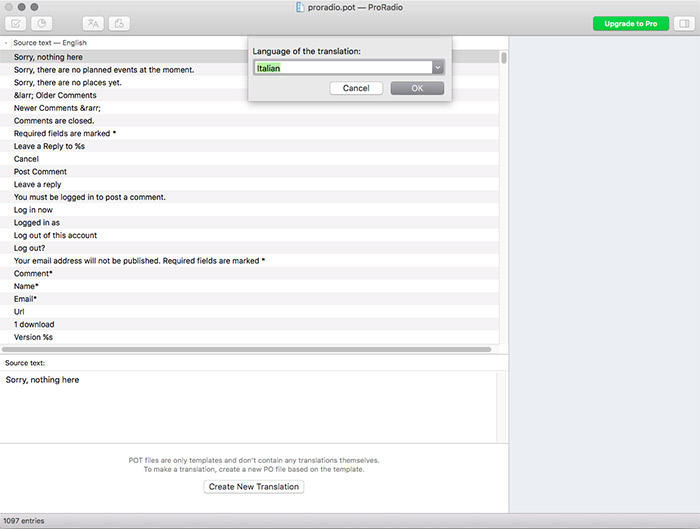 translate poedit radio wordpress theme