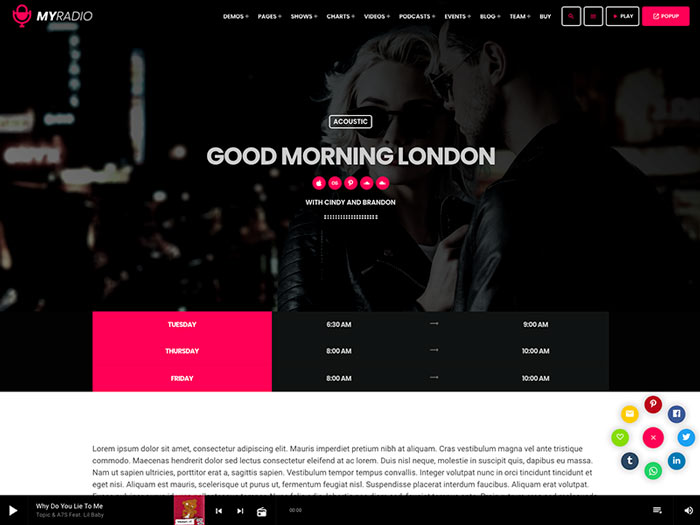 radio wordpress theme shows post type