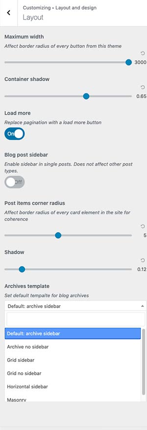 radio-wordpress-theme-customizer-02