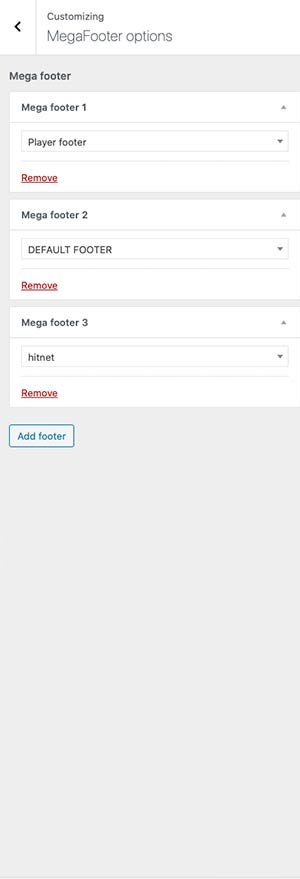 radio-wordpress-theme-customizer-09
