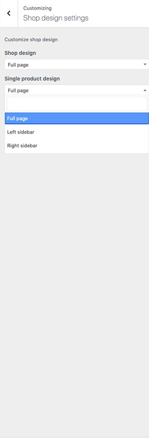 radio-wordpress-theme-customizer-10