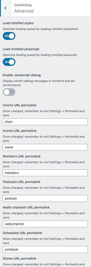 radio-wordpress-theme-customizer-11