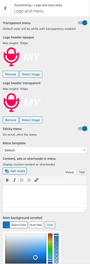 radio-wordpress-theme-customizer-12