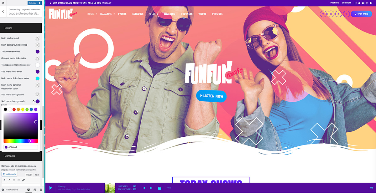 radio wordpress theme customizer udpate
