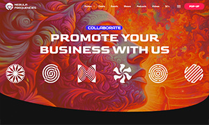 Demo 27 – Nebula Frequencies – Trance Radio Website Template [Radio WordPress Theme demo] Promote