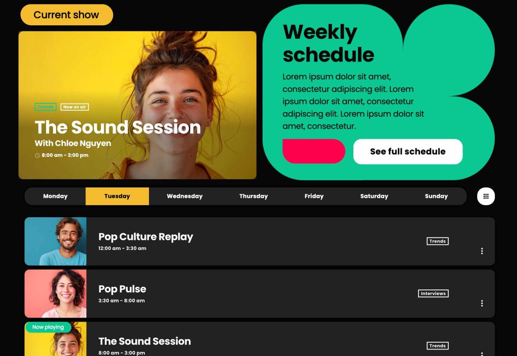 demo 33 radio shows schedule section